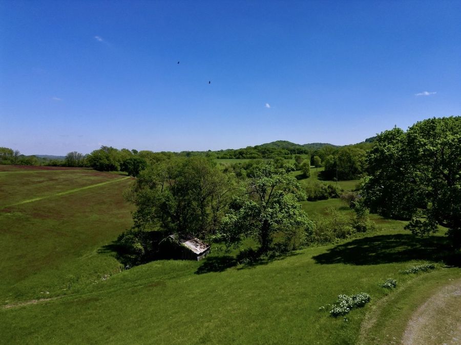 Property Image 60