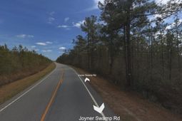 Tbd Joyner Swamp Rd. photo 4