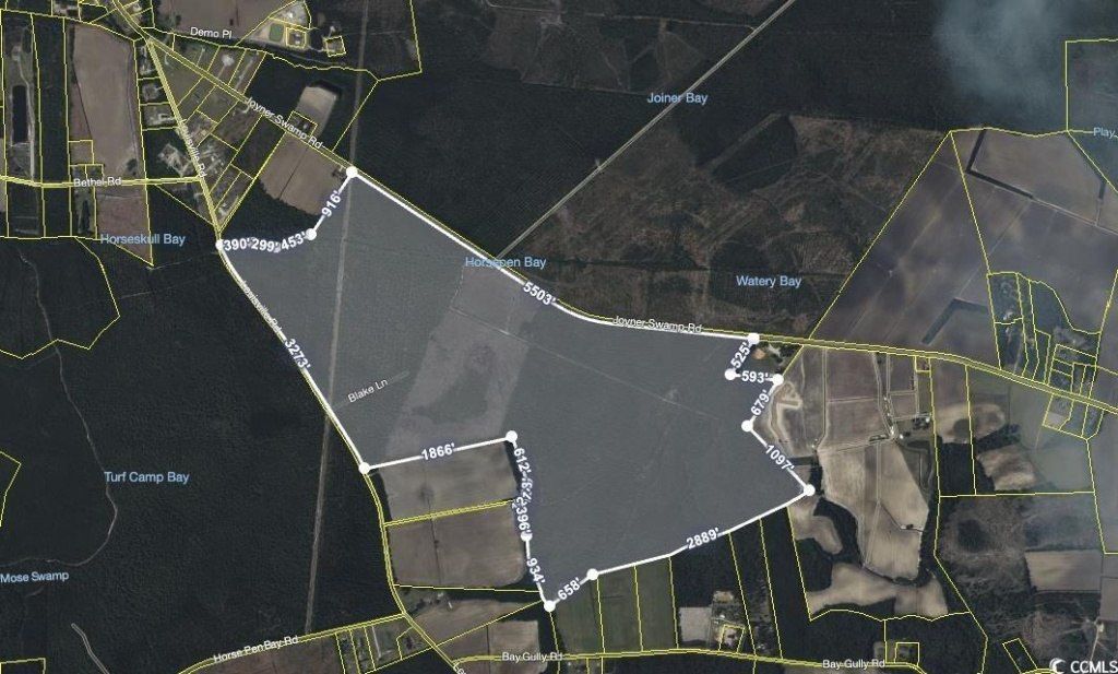 Tbd Joyner Swamp Rd. Photo 4