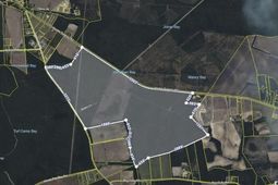 Tbd Joyner Swamp Rd. photo 4