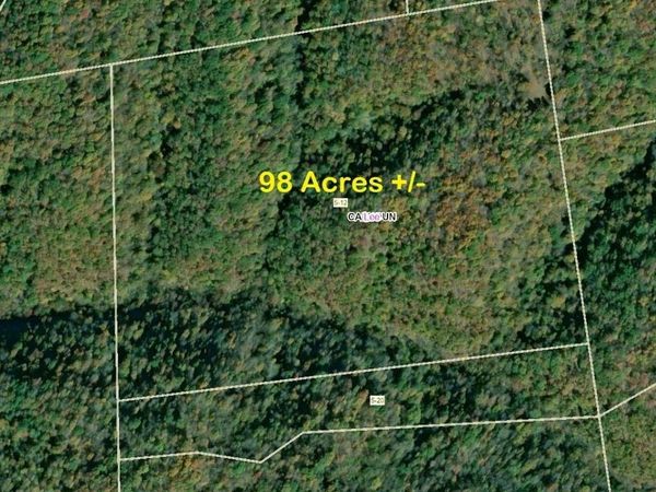 Parcel 12 West Fork Road, Creston, WV 26141