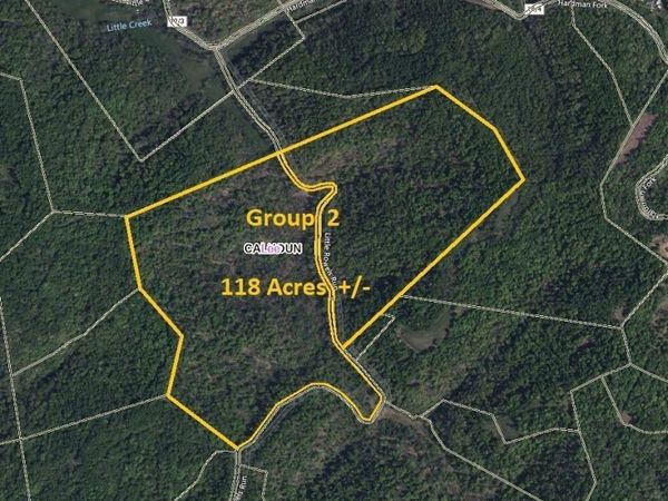 Parcel 10 Little Rowels Run Road, Creston, WV 26141