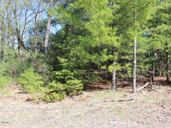 Lots 20-21 Leona Street, Friendship, WI 53934