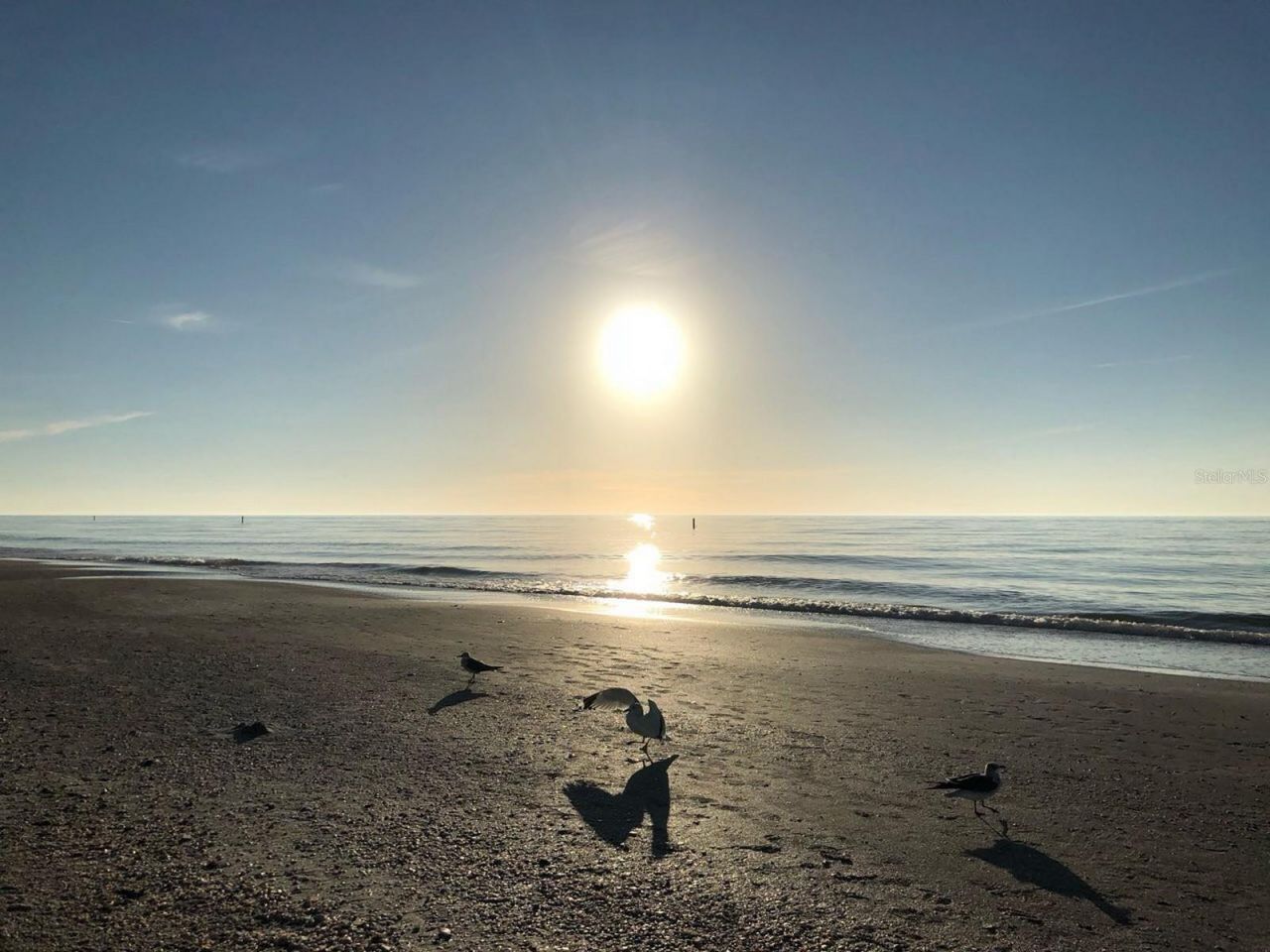 100 Bluff View Drive, Unit 415A, Belleair Bluffs, FL 33770 Photo