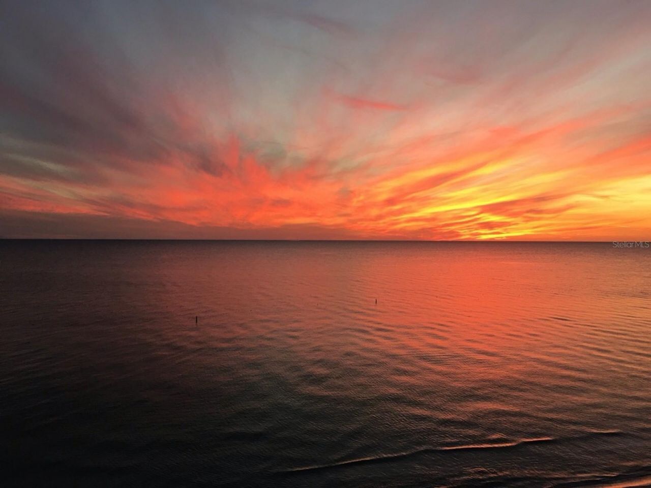 100 Bluff View Drive, Unit 415A, Belleair Bluffs, FL 33770 Photo