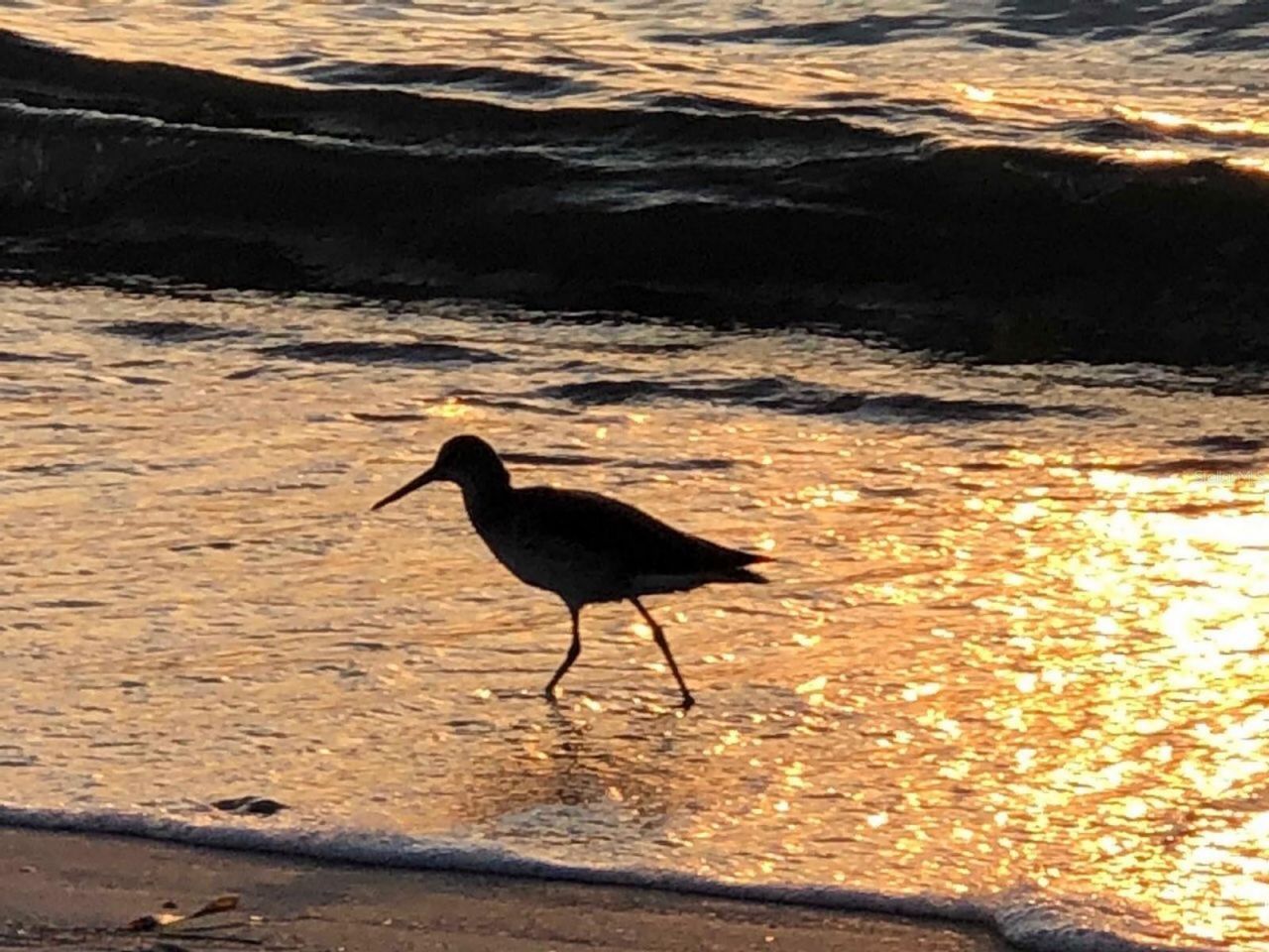 100 Bluff View Drive, Unit 415A, Belleair Bluffs, FL 33770 Photo