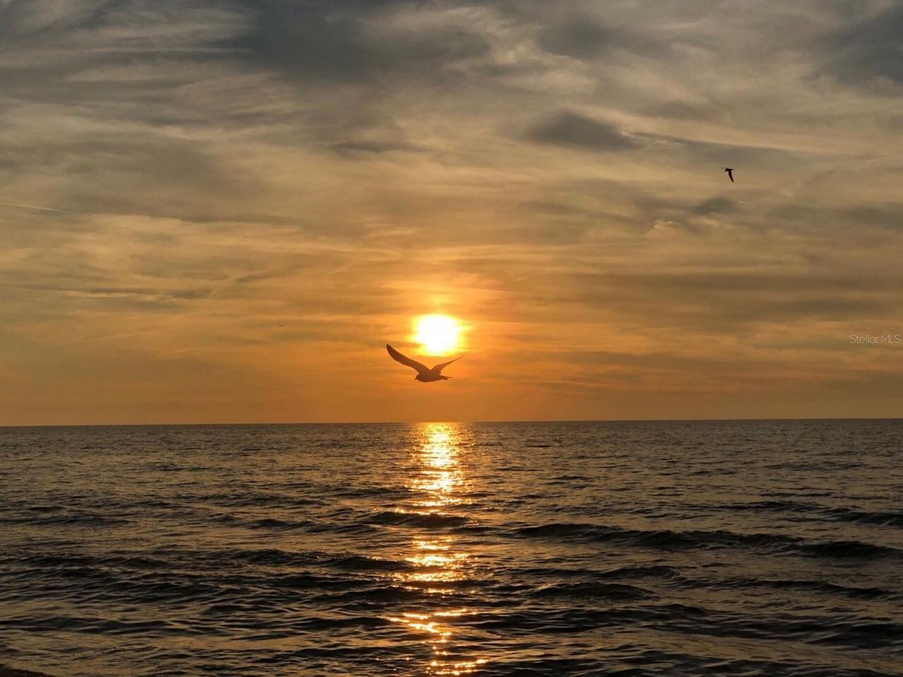 100 Bluff View Drive, Unit 415A, Belleair Bluffs, FL 33770 Photo