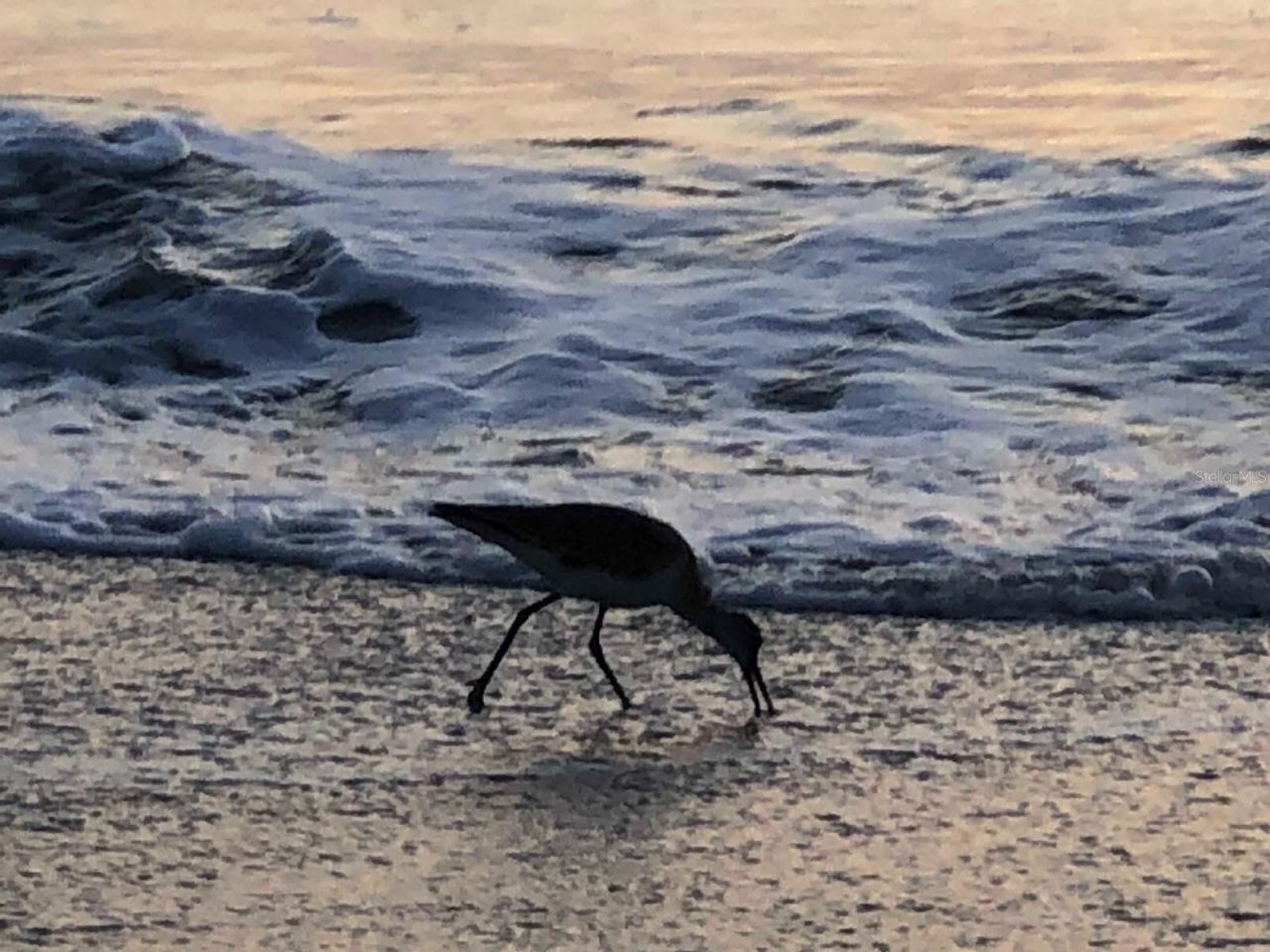 100 Bluff View Drive, Unit 415A, Belleair Bluffs, FL 33770 Photo