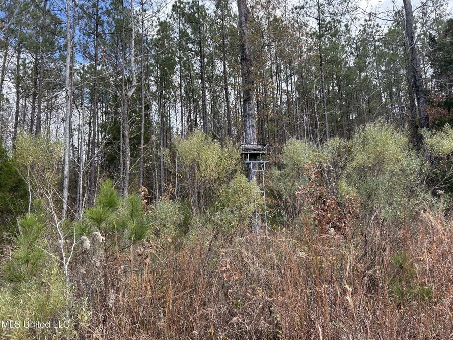 Property Image 63