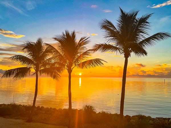 1501 Ocean Bay Drive, Unit A1 & 5, KEY LARGO, FL 33037