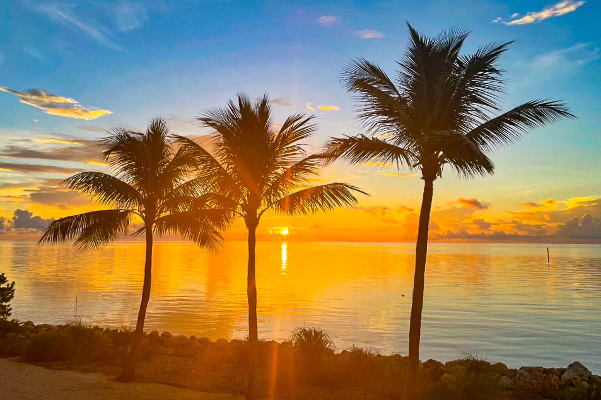 1501 Ocean Bay Drive, Unit A1 & 5, Key Largo, FL 33037 Photo