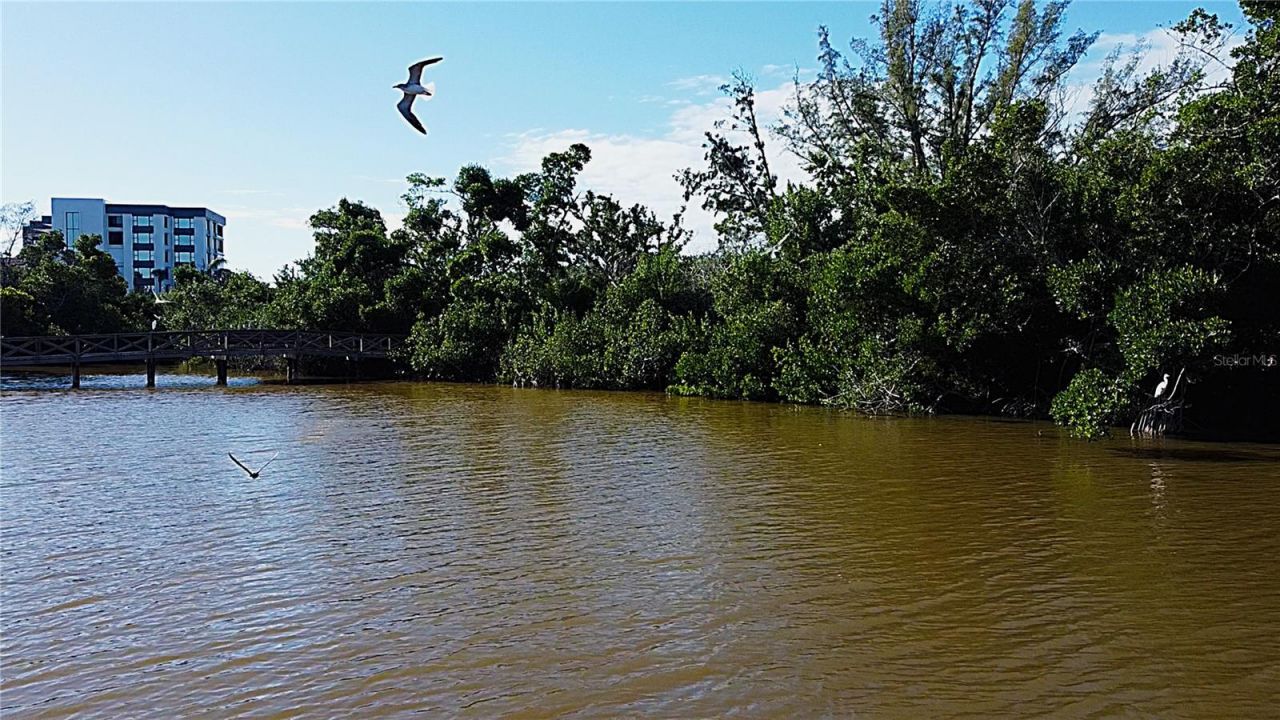 8534 Heron Lagoon Circle, Sarasota, FL 34242 Photo