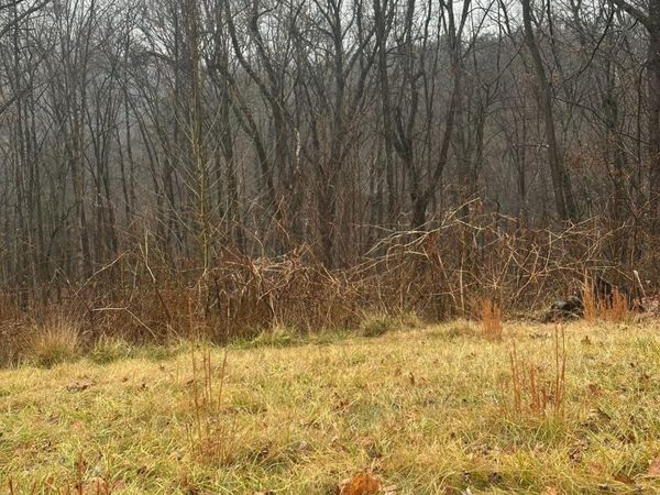 0 Halifax CIR, Vinton, VA 24179