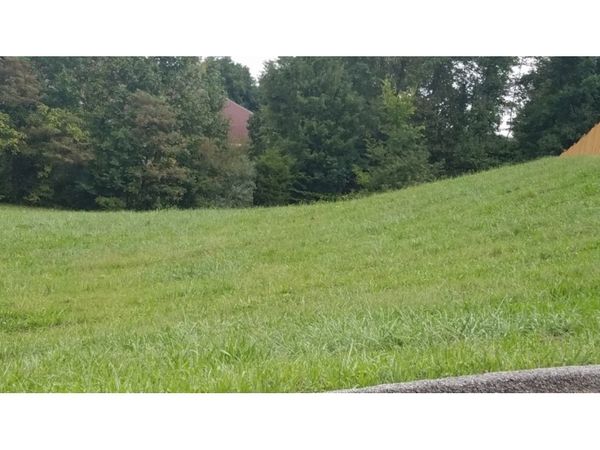 #4 Clearwater Drive, Unicoi, TN 37692