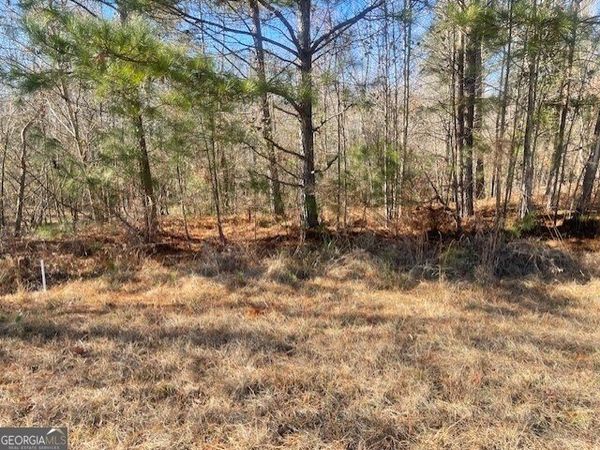 LOT 8 Black Pearl Drive, Warrenton, GA 30828