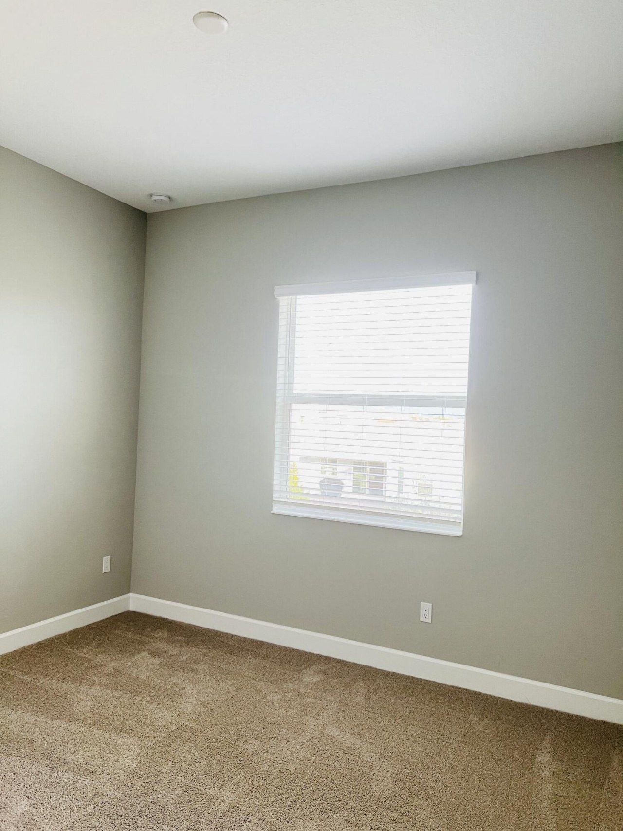 14476 Spruce Pine Drive, Westlake, FL 33470 Photo