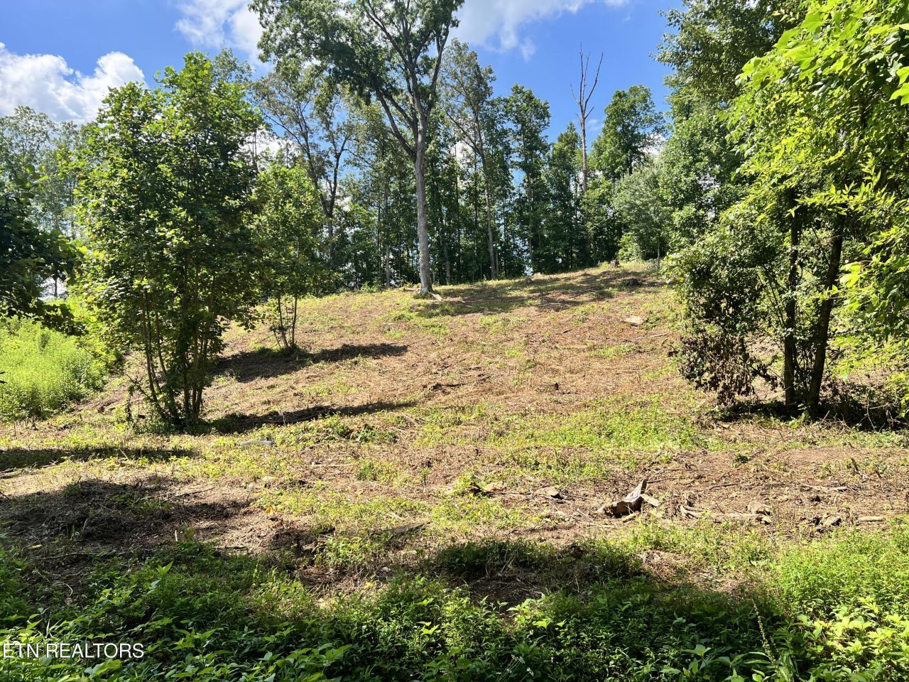 Lot 1 Arwine Road, Decatur, TN 37322 Main Photo