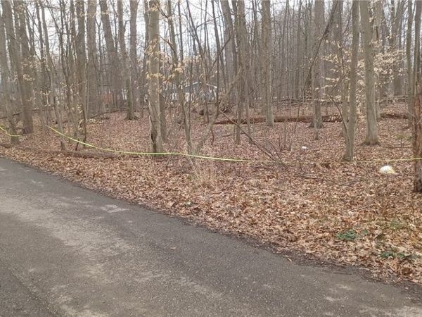 Idylwild Avenue, Lake Milton, OH 44429