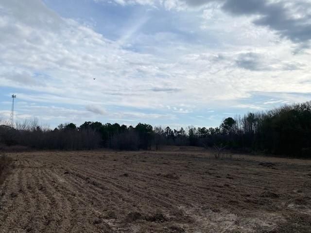 Tbd Edmondson, Athens, TX 75751 Main Photo