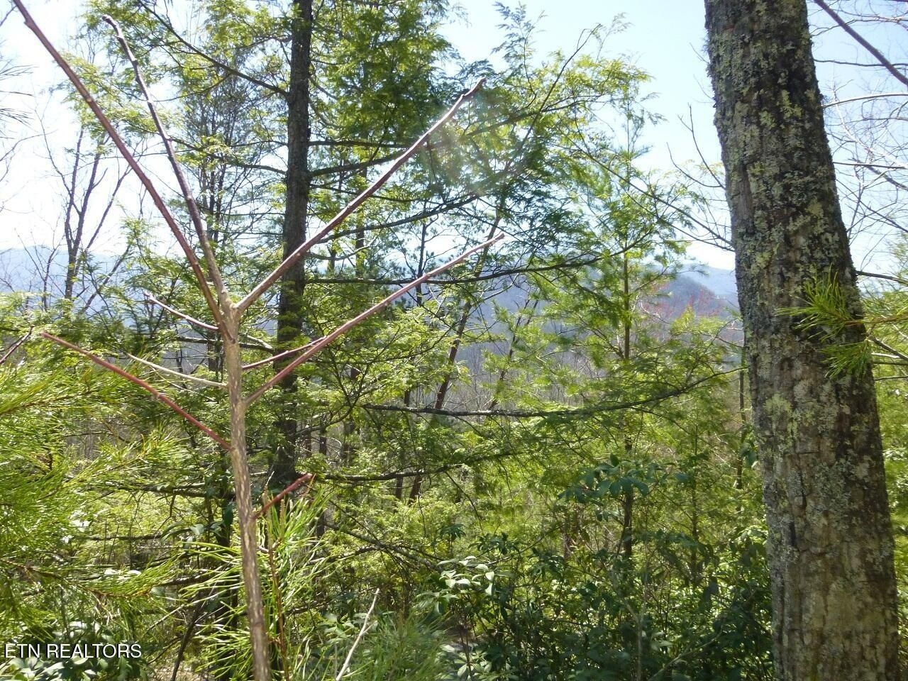 Lots 24&25 Sonshine Ridge Rd, Cosby, TN 37722 Main Photo