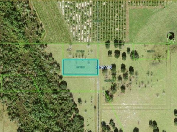 MILLS RD, FORT MEADE, FL 33841