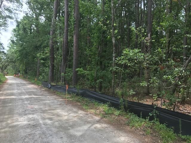 Tbd Lost Oaks Drive Photo 11