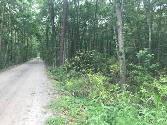 Tbd Lost Oaks Drive Photo 13