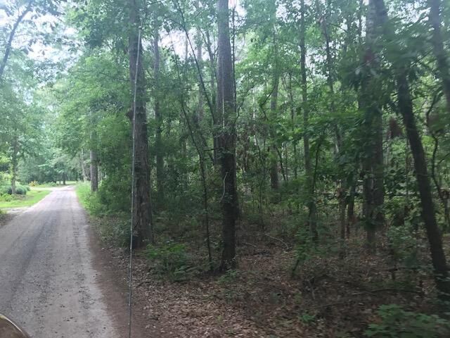 Tbd Lost Oaks Drive Photo 14