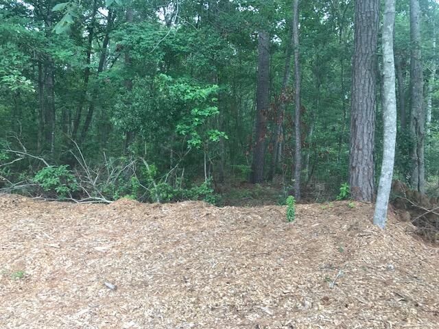 Tbd Lost Oaks Drive Photo 15