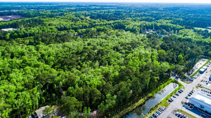 Tbd Lost Oaks Drive Photo 4