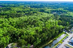 Tbd Lost Oaks Drive photo 4