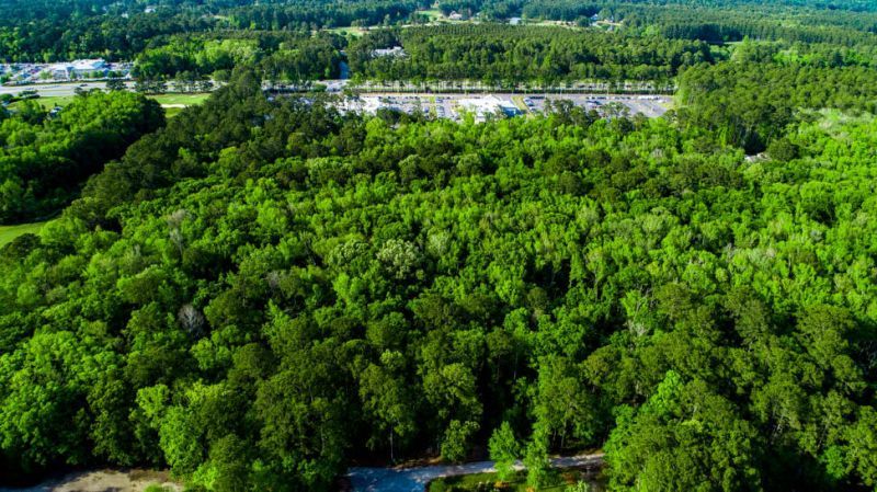 Tbd Lost Oaks Drive Photo 7