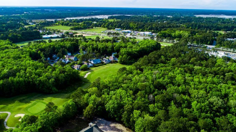 Tbd Lost Oaks Drive Photo 8