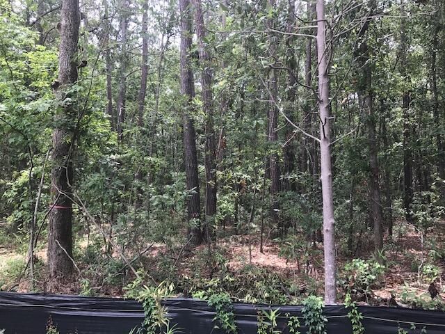 Tbd Lost Oaks Drive Photo 9