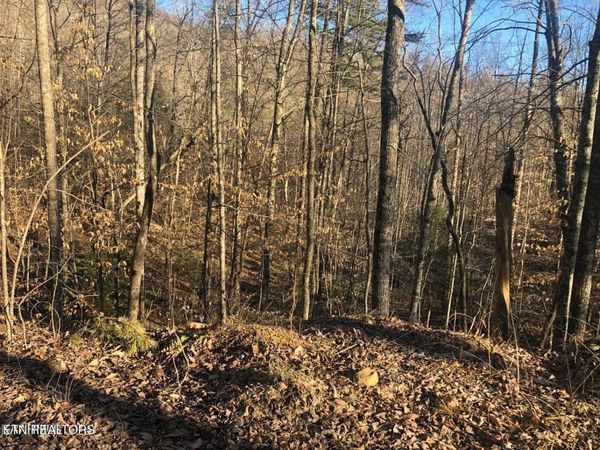 Lot 68 Yellowwood Drive, Sevierville, TN 37876