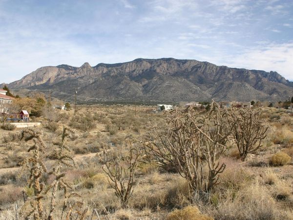 10650 ELENA Avenue NE, Albuquerque, NM 87122