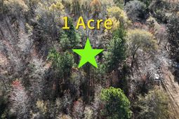 Lot A Bobbie Lane photo 4