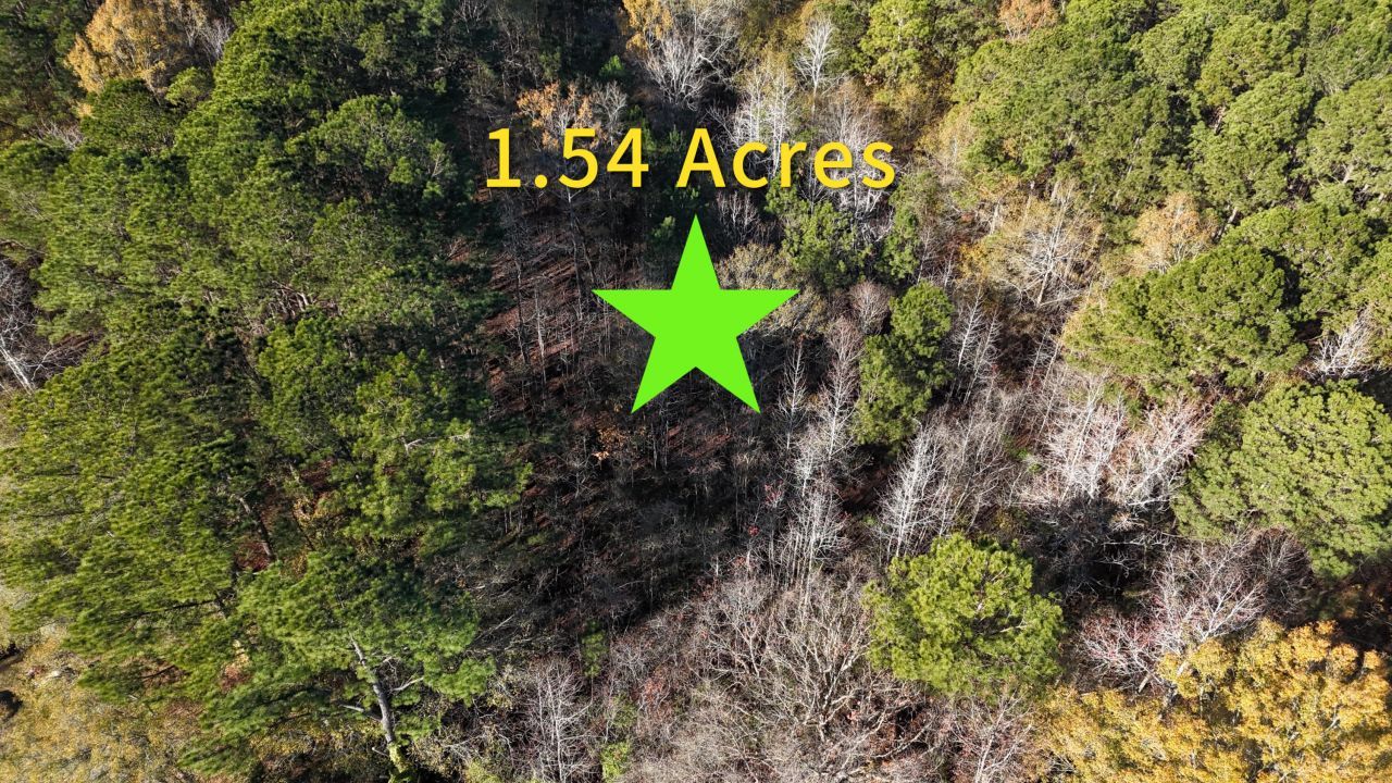 00 Bobbie Lane Photo 5