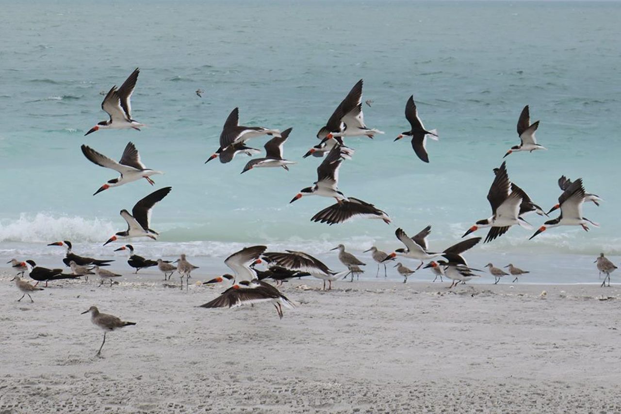 5120 Bayside Villas, Unit 5120, Captiva, FL 33924 Photo