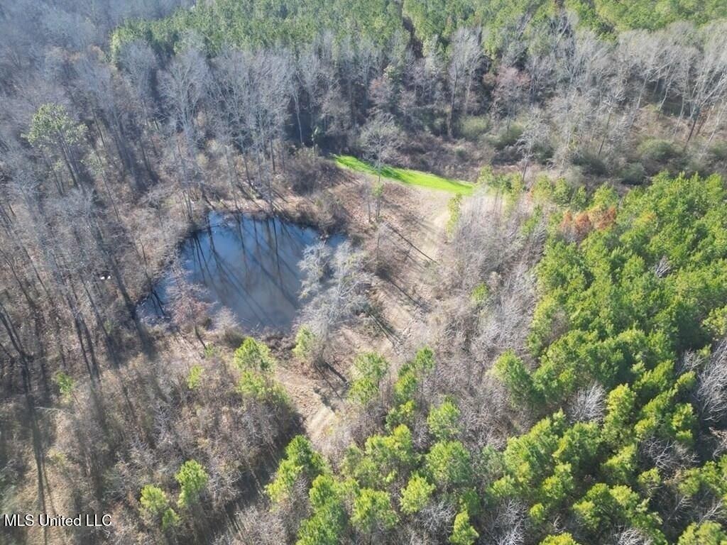 9307a Ms 28, Fayette, MS 39069 Main Photo