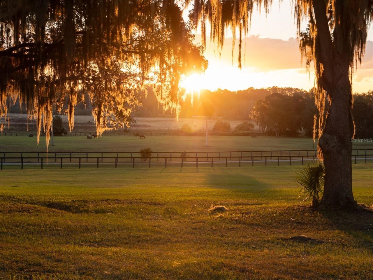 9001 NW 200th Street Road, Micanopy, FL 32667 Photo