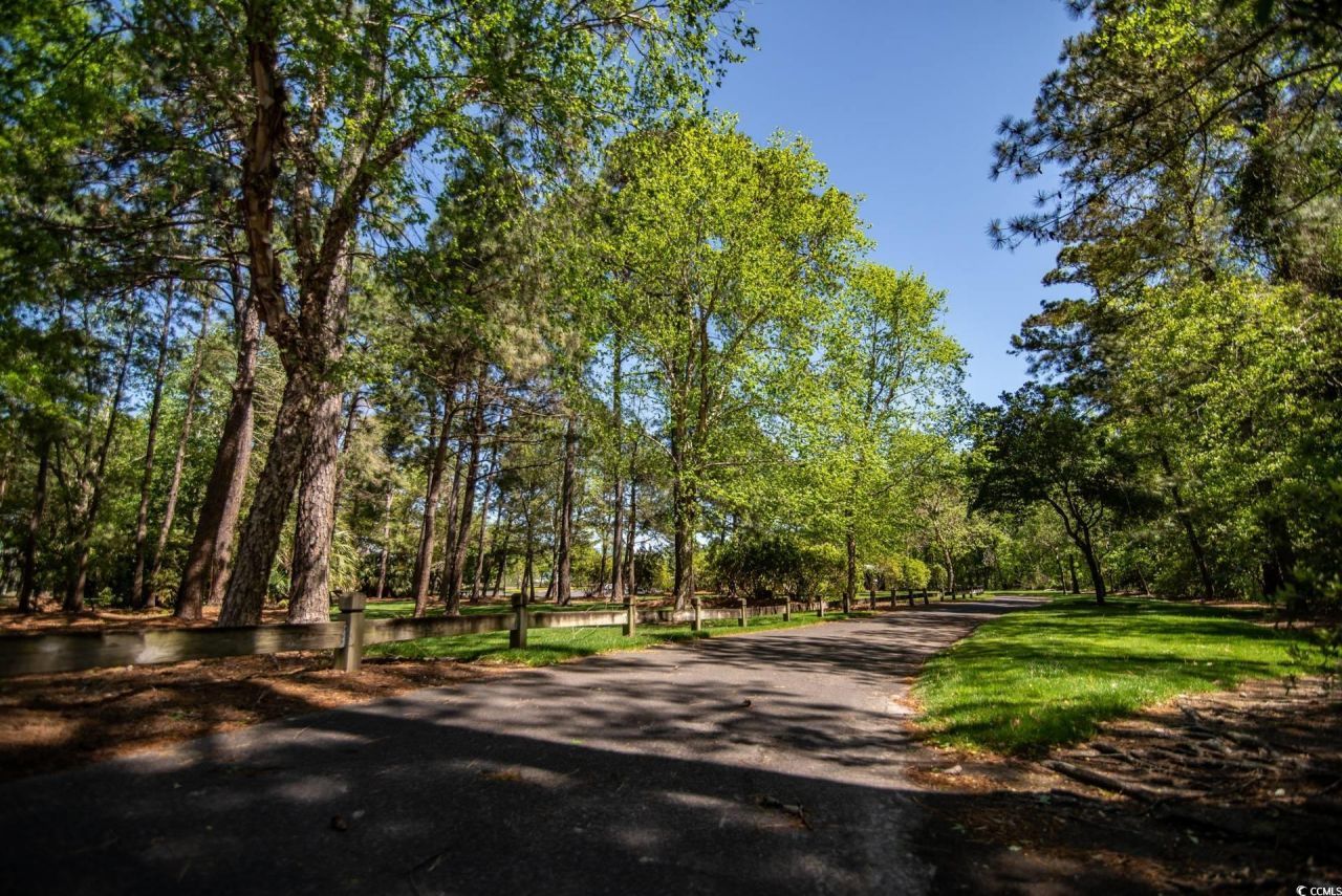 598 Blue Stem Dr. Photo 39
