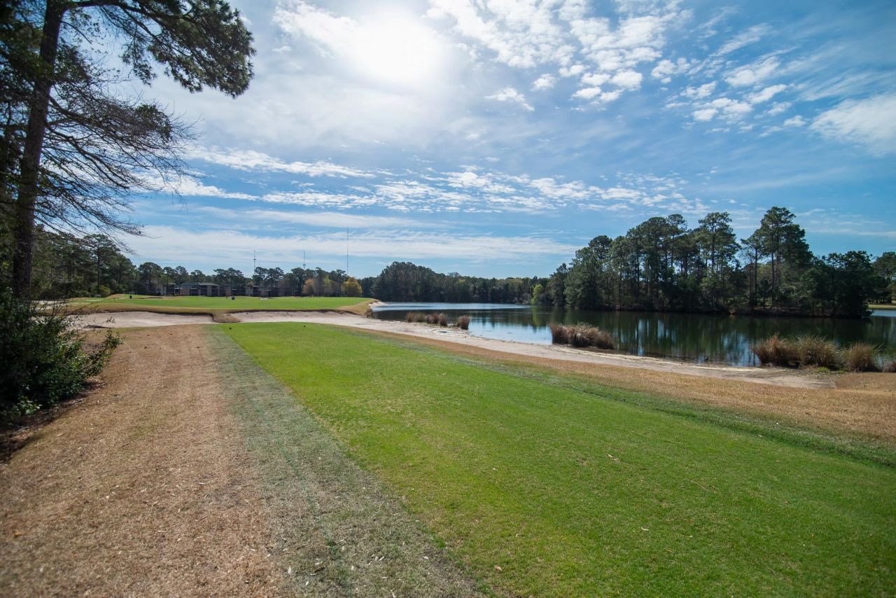 598 Blue Stem Dr. Photo 49