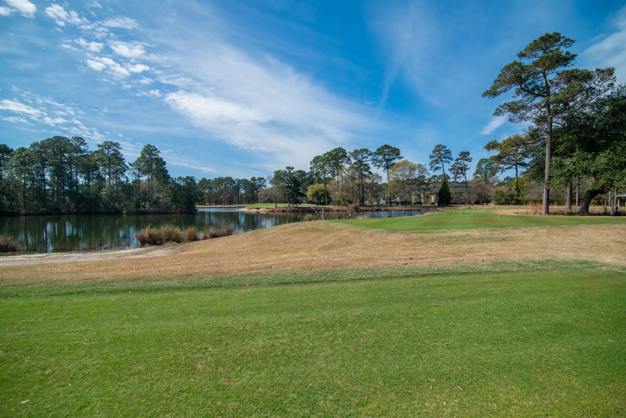598 Blue Stem Dr. Photo 50
