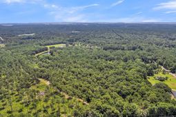 0 Handsome Drive photo 4