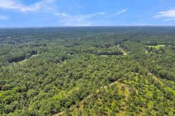 0 Handsome Drive photo 4