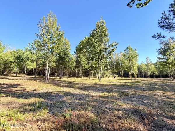 Stout Farms Drive, Madison, MS 39110