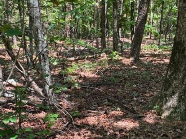 12 Castano (Lot 12) Lane, Hot Springs Vil, AR 71909
