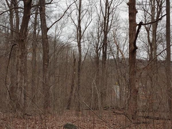 0 Virginia Lane, Waverly, OH 45690