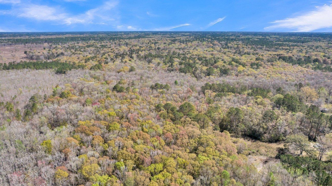 530 Twin Lakes Dr Photo 10